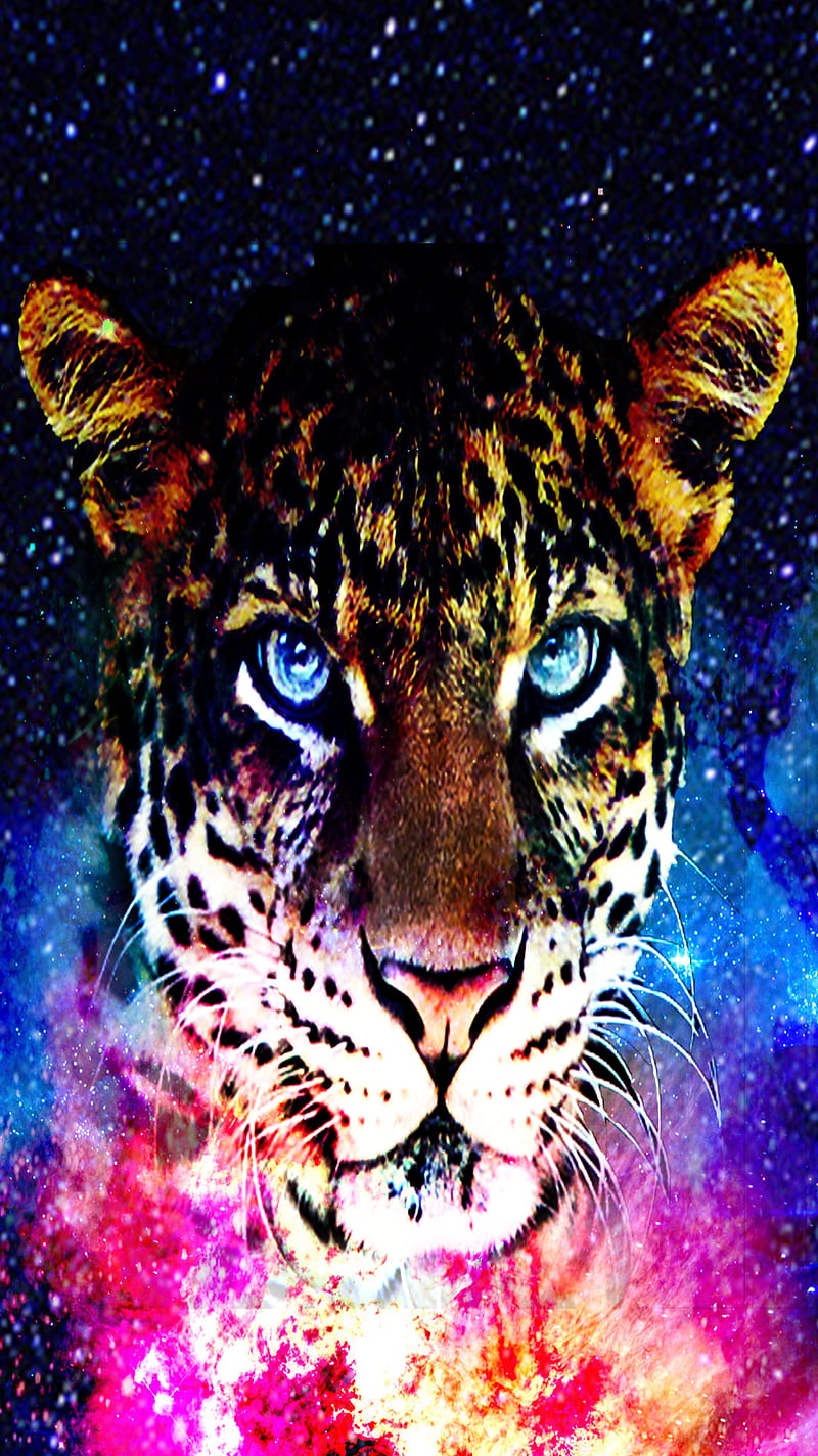 Galaxy Leopard, animal, cheetah, colorful, landscape, space, tiger, HD phone wallpaper