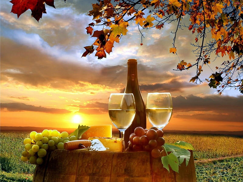 White Wine, glass, grapes, tree, bottle, barrel, sunset, field, HD wallpaper
