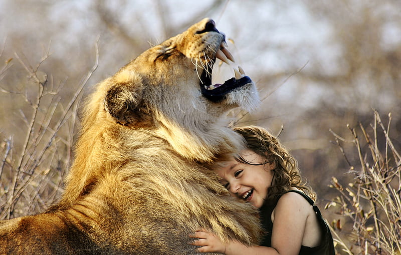 Little Girl Hugs Lion Roaring Cute , lion, animals, roar, predator, cute, hug, HD wallpaper