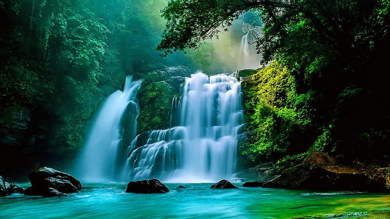 Rainforest Waterfalls, forest, nature, rain, waterfalls, HD wallpaper