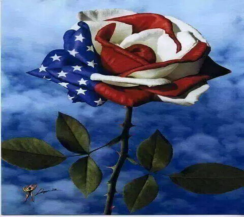 veterans day flower, flower, veterans day, HD wallpaper