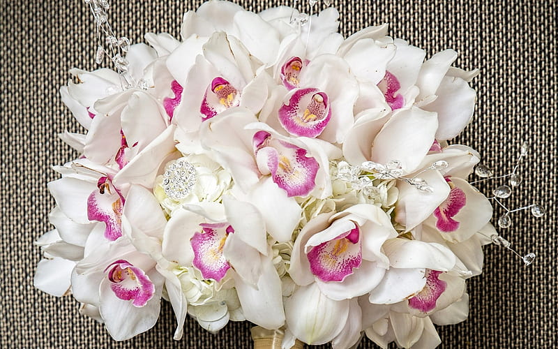 Orquídeas, ramo, orquídea, flor, novia, blanco, rosa, Fondo de pantalla HD  | Peakpx