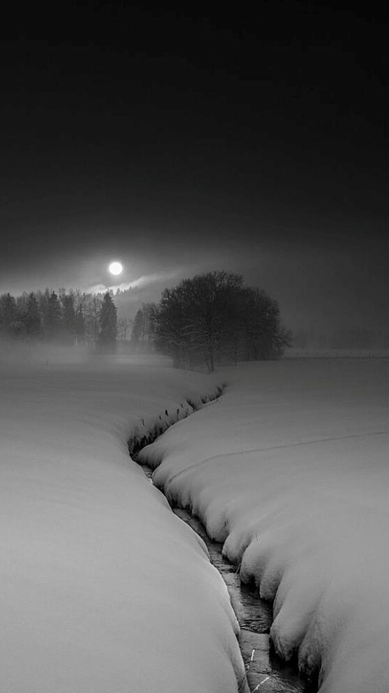 Winter Night, landscape, moon, HD phone wallpaper