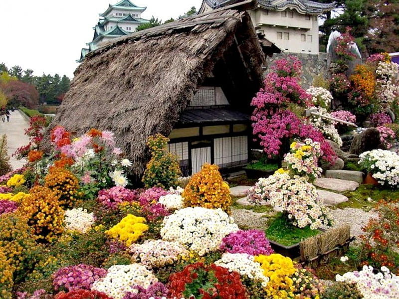A Thatched Roof & Flowers Galore!, china, flowers, garden, thatched roof, old, historical, HD wallpaper