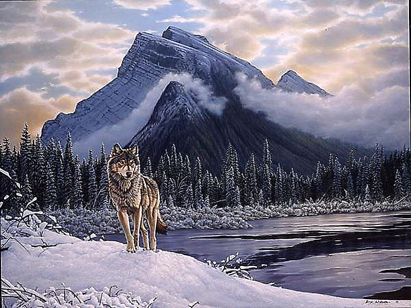 Wolfoo Canada 