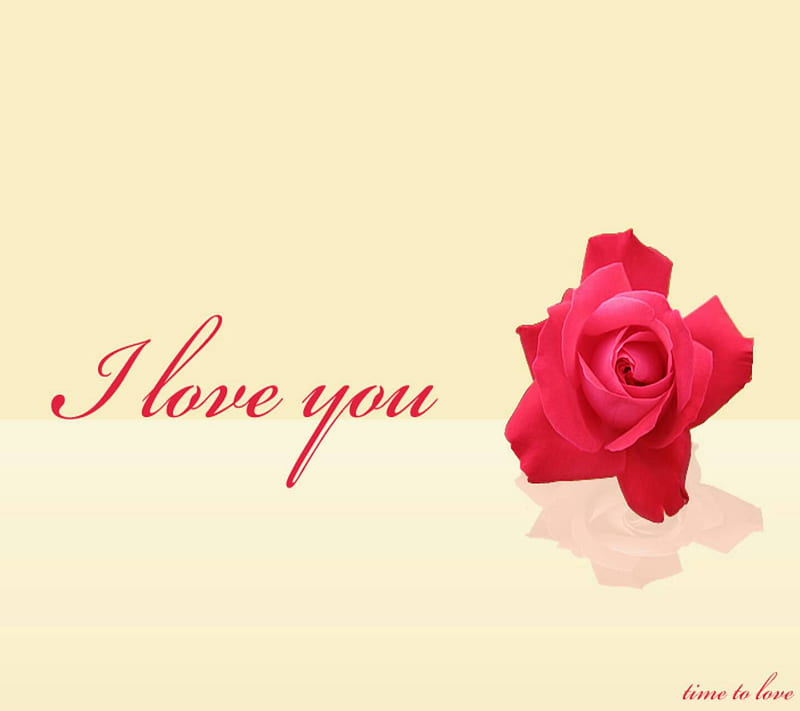 720P free download | I love you, rose, HD wallpaper | Peakpx