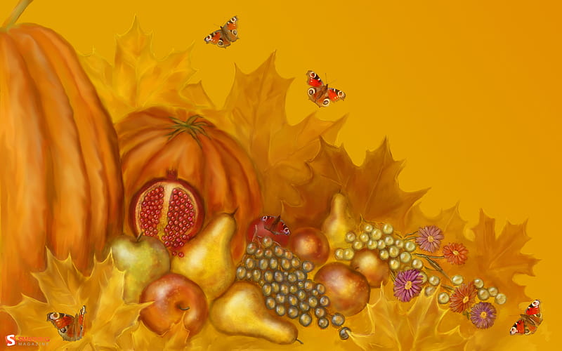 Fruit and butterflies, fruit, grapes, autumn, pears, orange tones, maple leaves, butterflies, pumpkins, HD wallpaper
