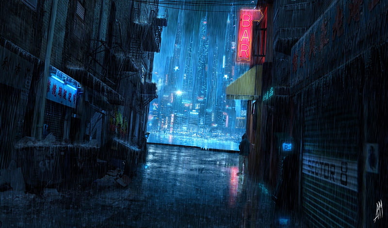 rainy night in the city