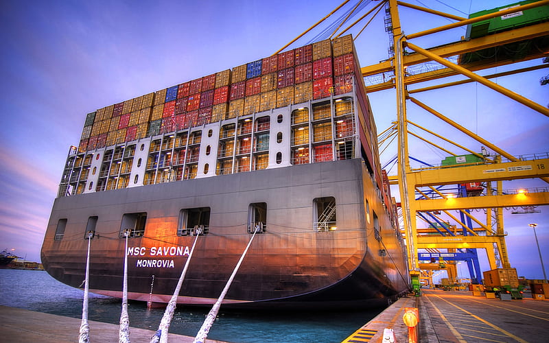 MSC Savona cargo ship, cargo transport, container ship, port, MSC, HD wallpaper