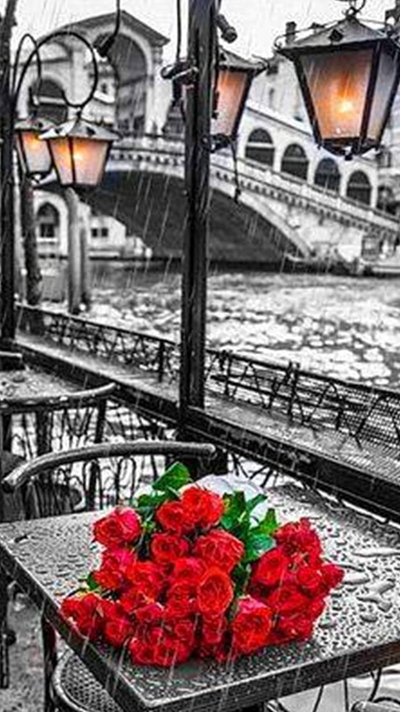 Romantic Rain, red, rose, HD phone wallpaper | Peakpx