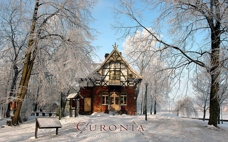 Fachwerk style villa in Curonia, architecture, world, kurische, curonia, bonito, magic, neringa, villa, spit, sand, dunes, cultural, heritage, fabulously, list, nehrung, legend, beauty, frost, harmony, unesco, kopos, curonian, unique, trees, winter, fachwerk, snow, landscape, style, HD wallpaper