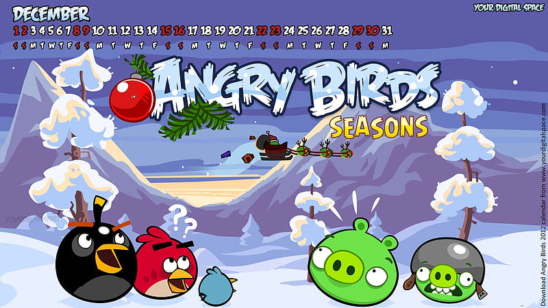 December-Angry bird the whole of 2012 Calendar, HD wallpaper