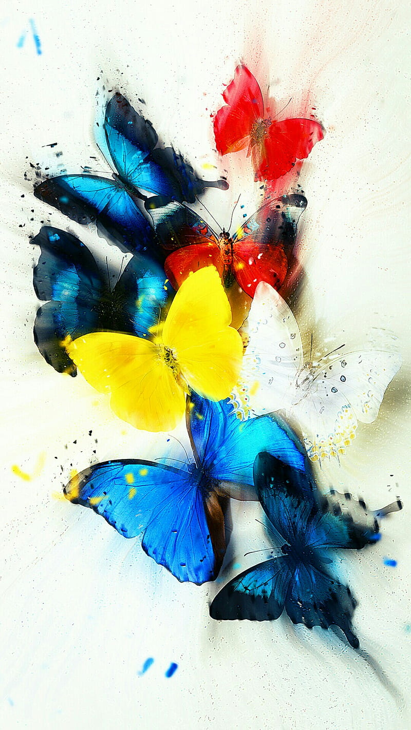 Butterfly, blue, red, yellow, HD phone wallpaper