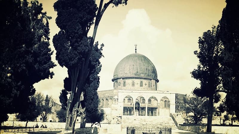 Israel, Islam, Palestine, Jerusalem, Religious, Christian, Judaism, Al Aqsa Mosque, Mosques, HD wallpaper