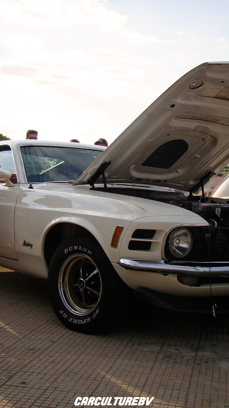 Ford Mustang 1970, carculturebv, carros, HD phone wallpaper | Peakpx