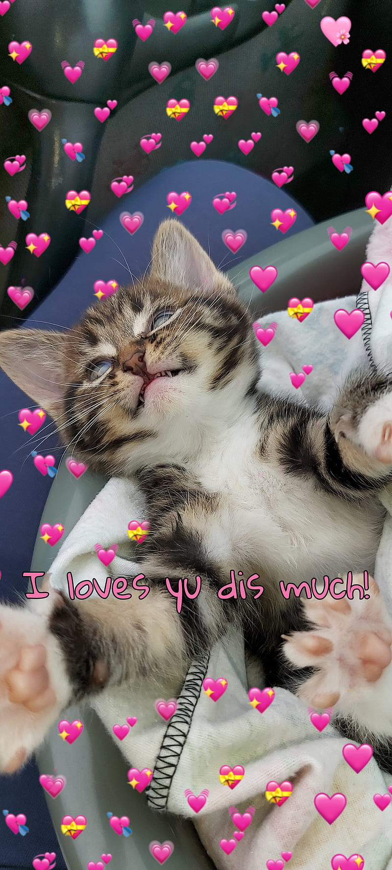 I love you, cute, hug, hugs, iloveyou, kitten, kittens, HD phone wallpaper