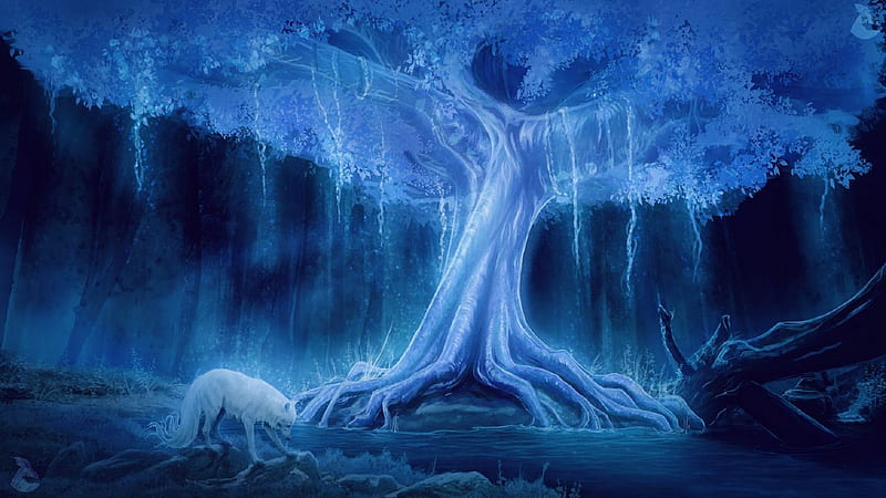 White Wolf, art, tree, white, blue, digital, HD wallpaper