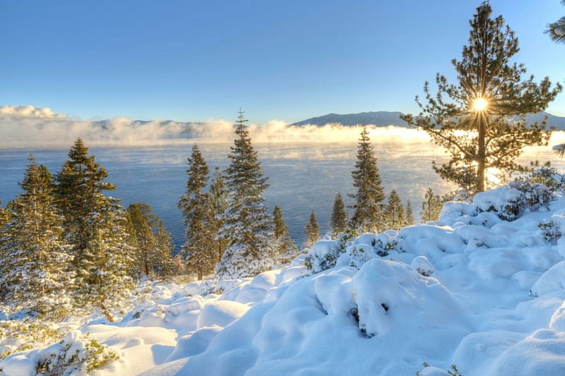 Lake Tahoe in winter, USA, Scenery, Forest, Nevada, Nature, Winter, California, Tahoe, Lake, Sierra, Snow, HD wallpaper