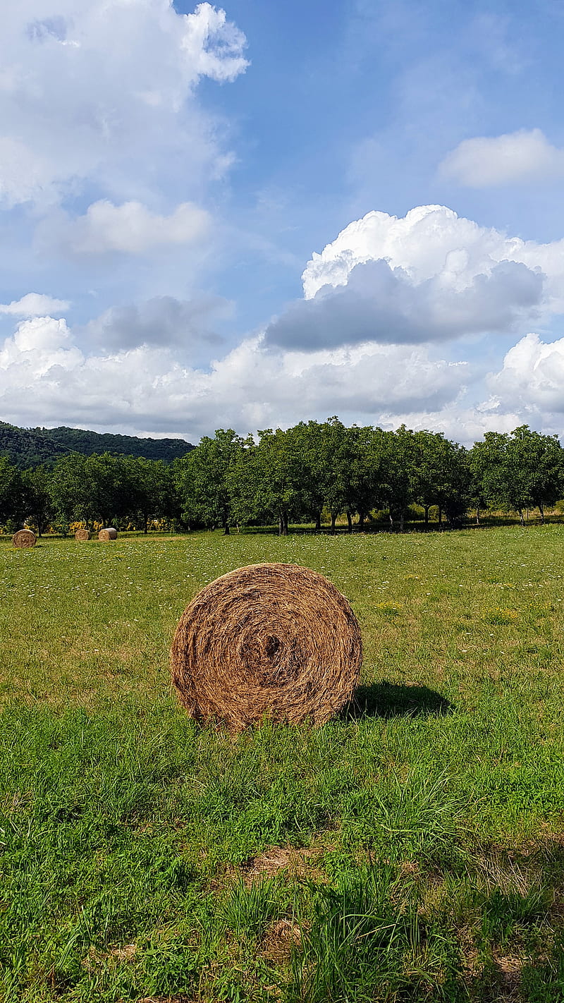 Straw Bale, farm, fields, HD phone wallpaper