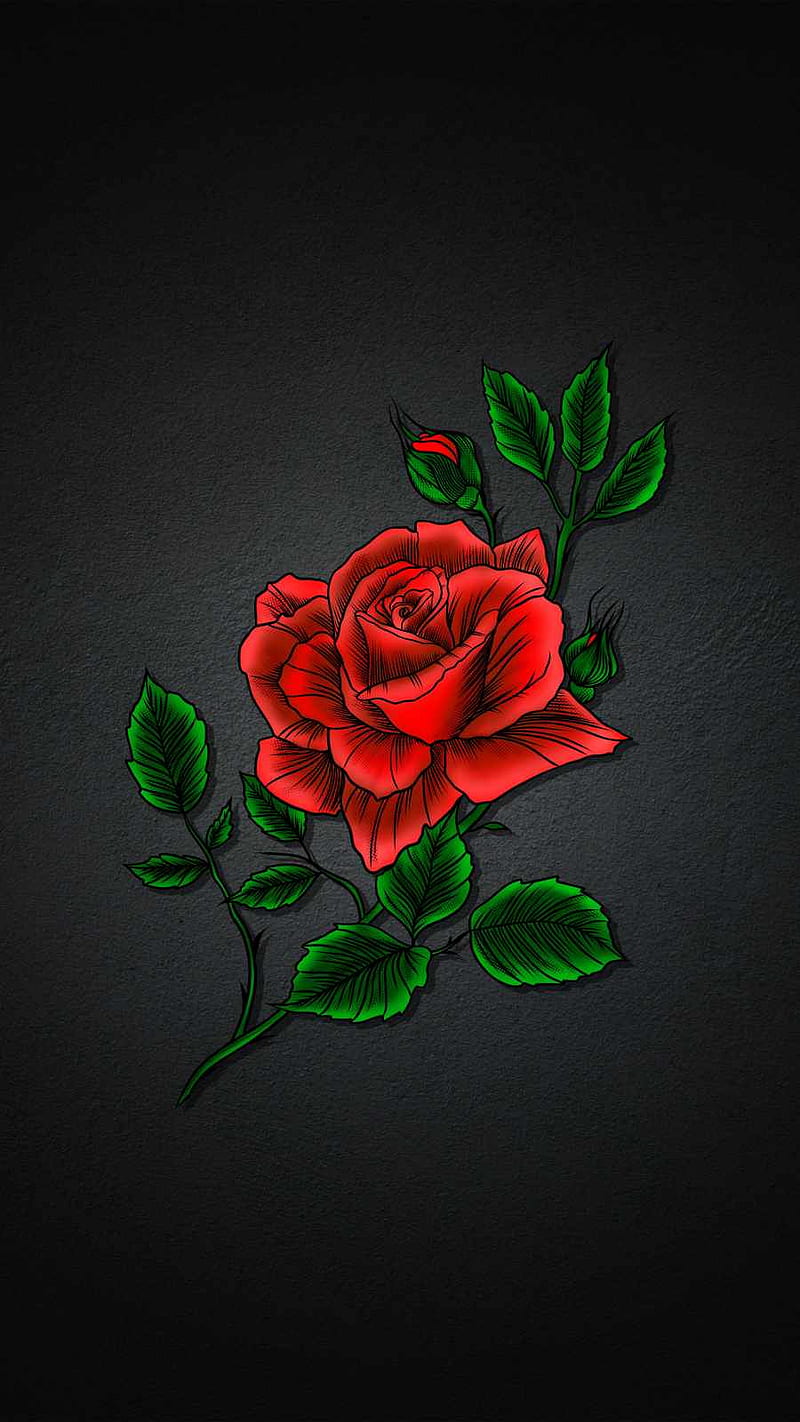 Download Red Rose Aesthetic Iphone 11 Wallpaper  Wallpaperscom