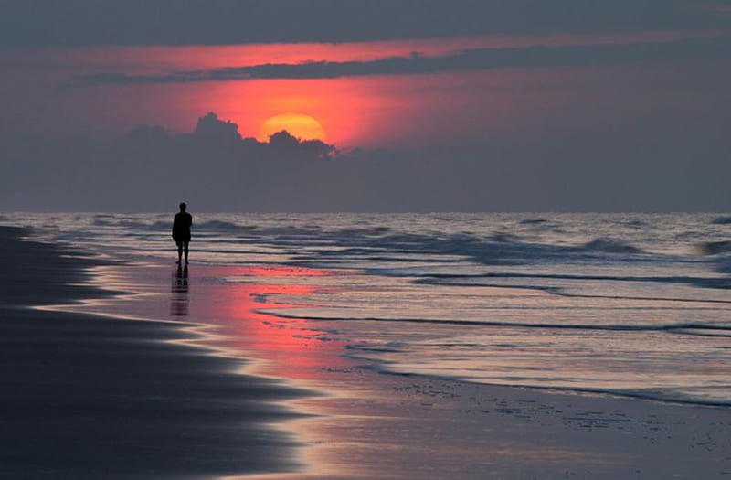 Lonely walk at sunrise, beach, splendor, nature, sunrise, sea, landscape, HD wallpaper