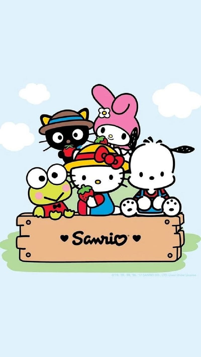 Sanrio Friends 美樂蒂庫洛米 Hello kitty HD phone wallpaper  Pxfuel