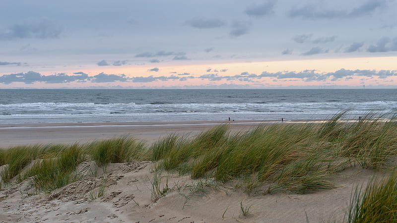 Breezy Beach, beach, grass, view, breezy, bonito, waves, sands, HD wallpaper