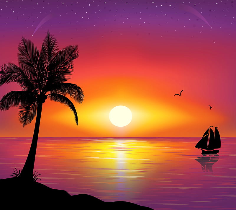 Sunset, colorful background, sunset vector, HD wallpaper