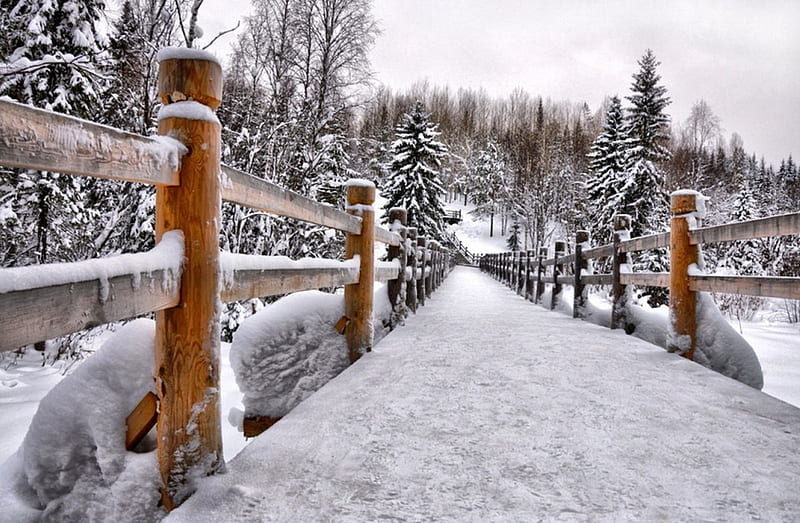 Winter walkway, fence, pretty, bonito, snowy, cold, nice, walkway, bridge, frost, forest, lovely, trees, winter, snow, nature, walk, frozen, HD wallpaper