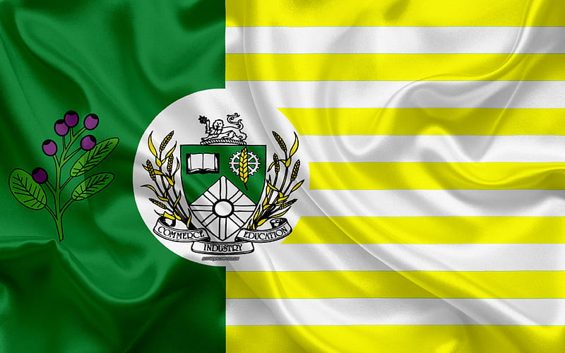 Flag of Saskatoon silk texture, Canadian city, green yellow silk flag, Saskatoon flag, Saskatchewan, Canada, art, North America, Saskatoon, HD wallpaper