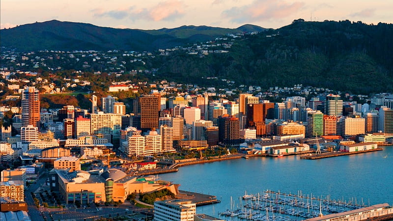 Wellington City New Zealand, HD wallpaper