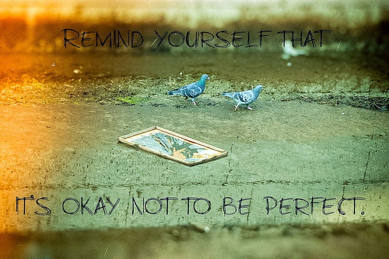 Broken Perfection, birds, mirror, inspire, quote, HD wallpaper