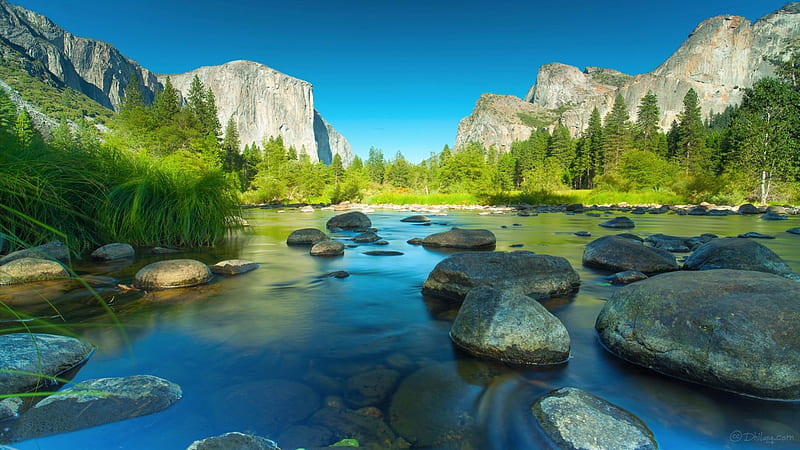 Yosemite National Park, moutains, nice, California, peaks, beauty, forests, El Capitan, morning, wood, USA, Microsoft theme, beatiful day, trees, panorama, water, cool, mountains, awesome landscape, 1920x1080, bonito, seasons, graphy, stone river Yosemite, amazing, lakes, national parks, spring summer, HD wallpaper