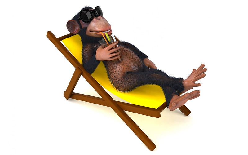 Monkey on vacation, monkey, vacation, relax, summer, drink, fun, HD wallpaper