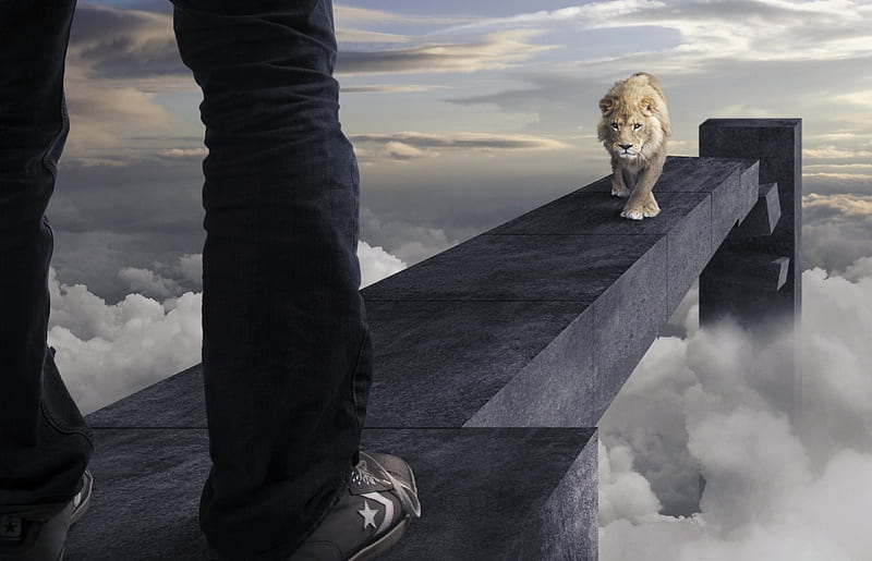 Face to face, cloud, black, man, creative, lion, situation, animal,  fantasy, HD wallpaper | Peakpx