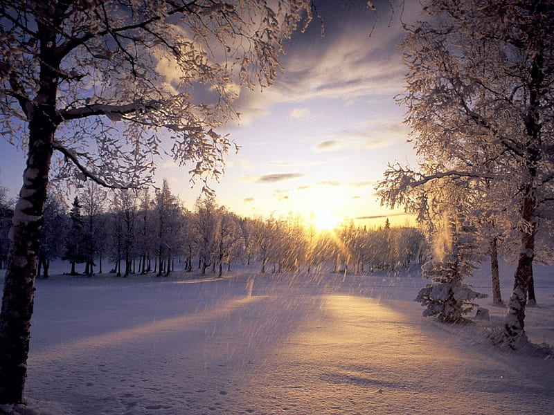 Fresh Snow, arctic, snow, alaska, nature, sunrise, winter, HD wallpaper
