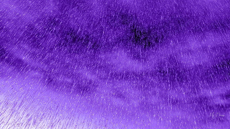 Purple Rain, song, Prince, music, rain, sky, singer, Firefox Persona theme, HD wallpaper