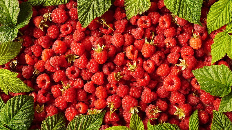 Food, Raspberry, Berry, Fruit, HD wallpaper