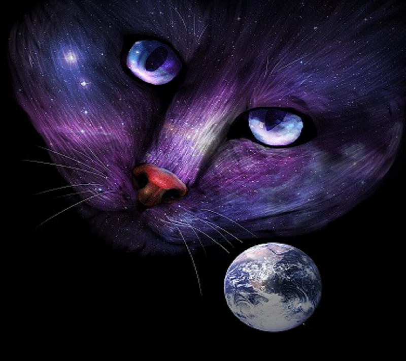 Purple Moon Cat