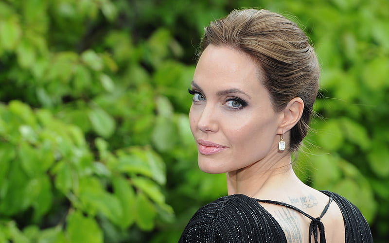 Angelina Jolie, portrait, movie stars, JLo, american actress, beauty, Hollywood, HD wallpaper