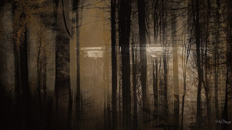 Dark Woods, forest, dark, woods, collage, vintage, winter, HD wallpaper