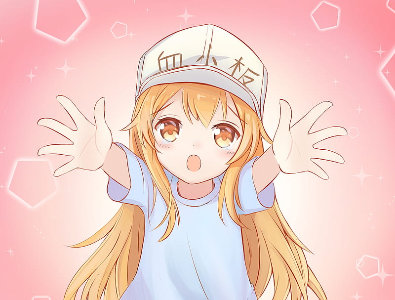 Hataraku Saibou HD Wallpapers and Backgrounds