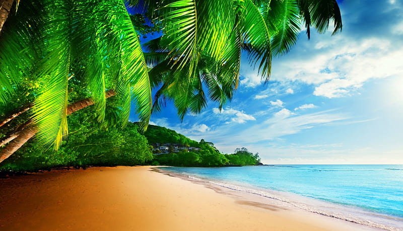 Tropical paradise, rest, vacation, exotic, ocean, bonito, sky, palms ...