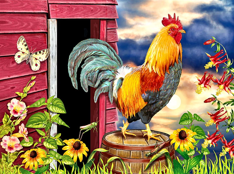 Barnyard Morning F1, rooster, art, bonito, artwork, butterfly, bird, avian, painting, wide screen, flowers, chickens, farm animals, HD wallpaper