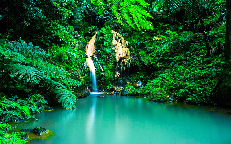 Azores jungle, waterfall, oasis, summer, Portugal, HD wallpaper