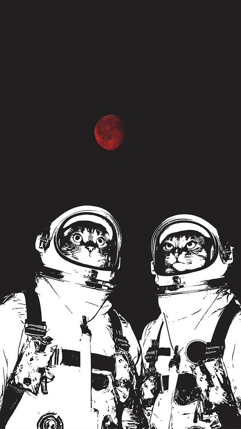 Space Cats, 929, astronaut, black, cats, cool, minimal, moon, red, space, trista hogue, HD phone wallpaper