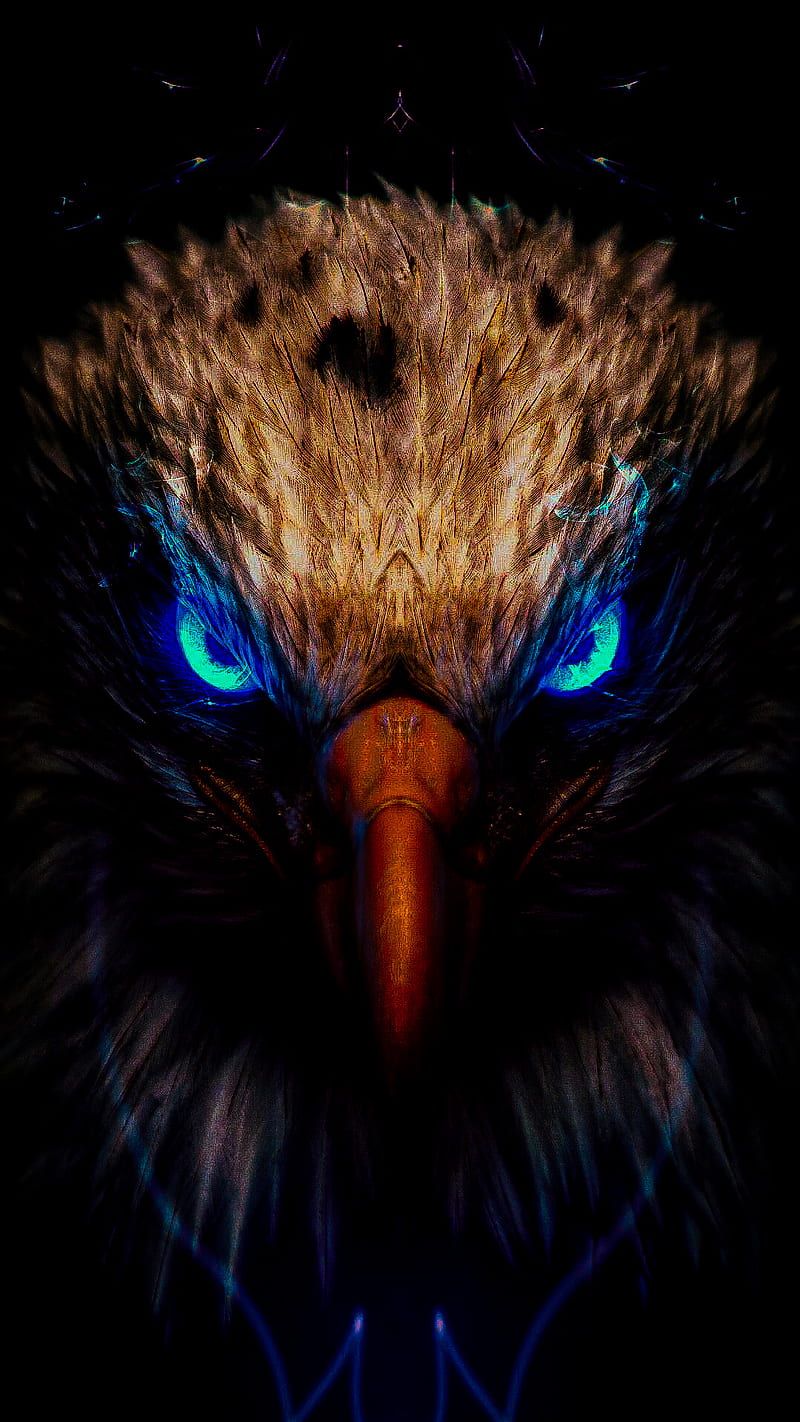 THE SPIRITED EAGLE, american, angry, animal, bird, dark, raven, spirit, HD  phone wallpaper | Peakpx
