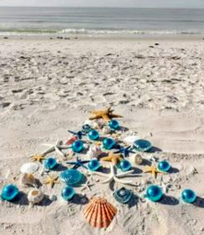 Beachy Christmas, beach, beaches, christmas tree, ocean, sea, shells, tree, trees, winter, HD phone wallpaper