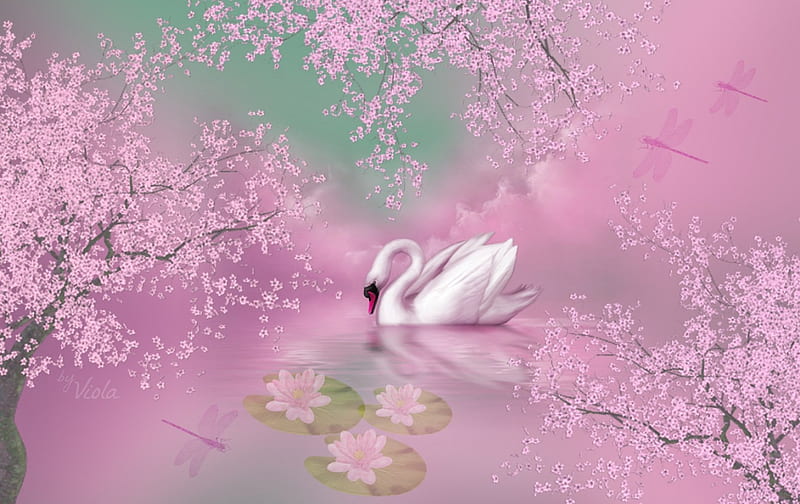 Lonely Swan, Viola Tricolor, sakura, water lily, spring, trees, swan, lake, cherry blossoms, fantasy, water, dragonflies, pink, HD wallpaper