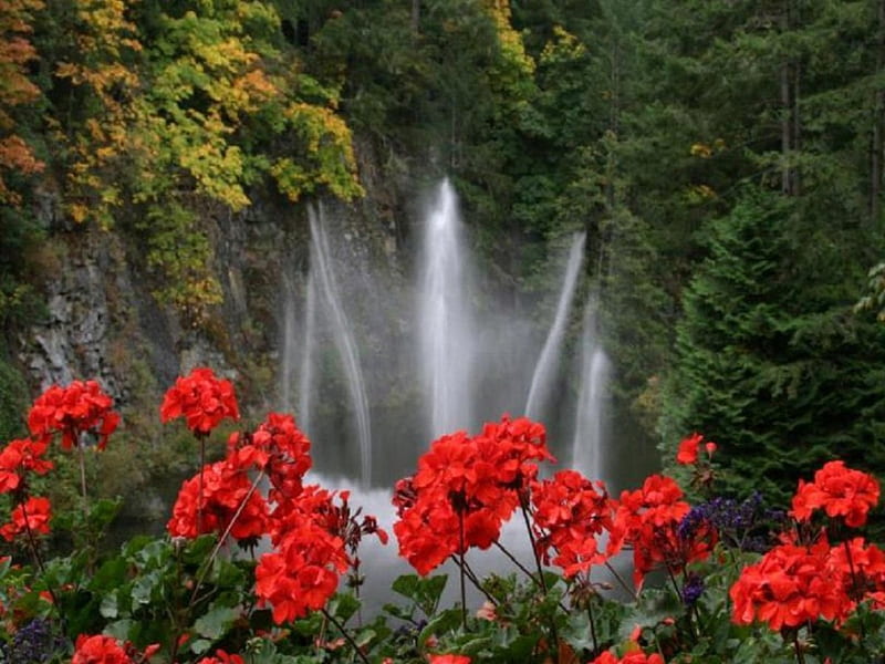 Forest Falls, red, forest, pine, greenery, flowers, waterfall, nature, HD wallpaper